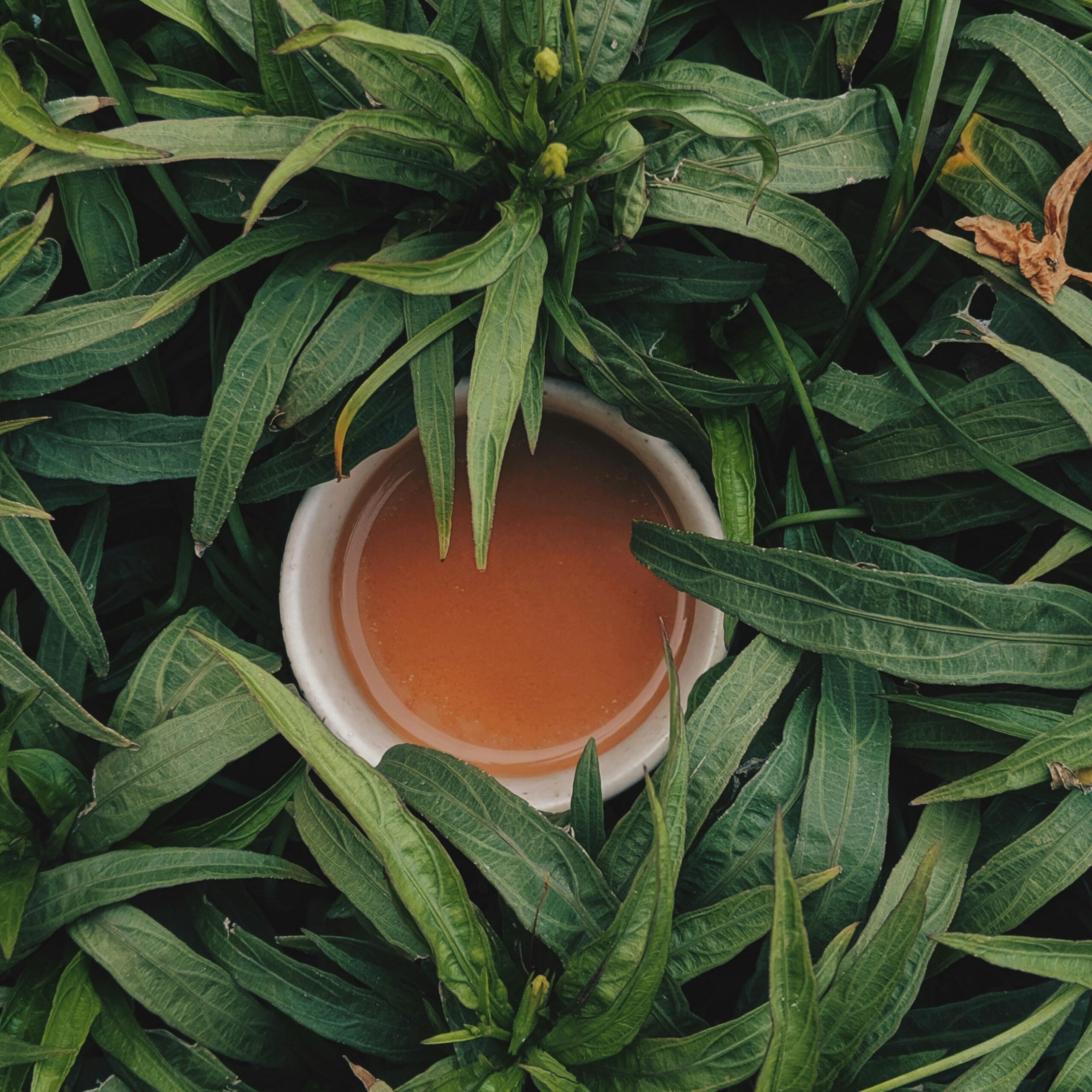 Top Luxury Tea Exporters India
