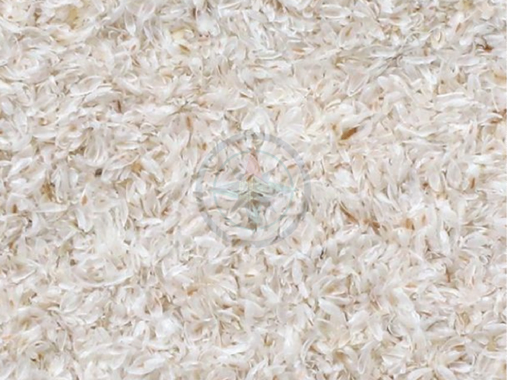 Best Psyllium Husk Manufacturer and Exporter India