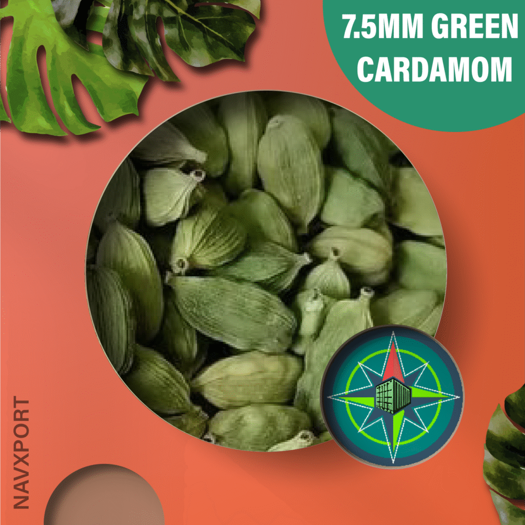 7.5mm Green Cardamom Exporter from Bhopal – Premium Indian Elaichi Supplier