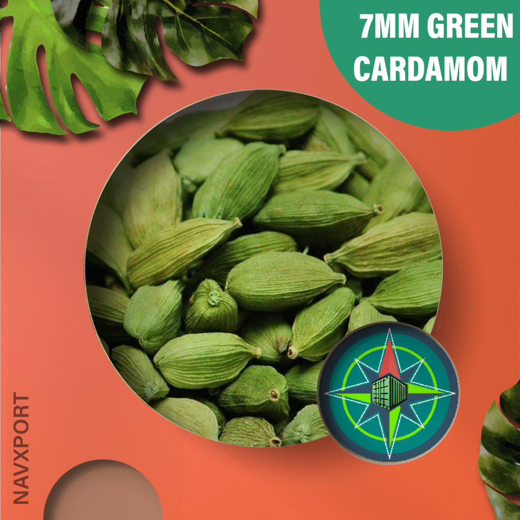 7mm Green Cardamom Exporter from Bhopal – Premium Indian Elaichi for Export