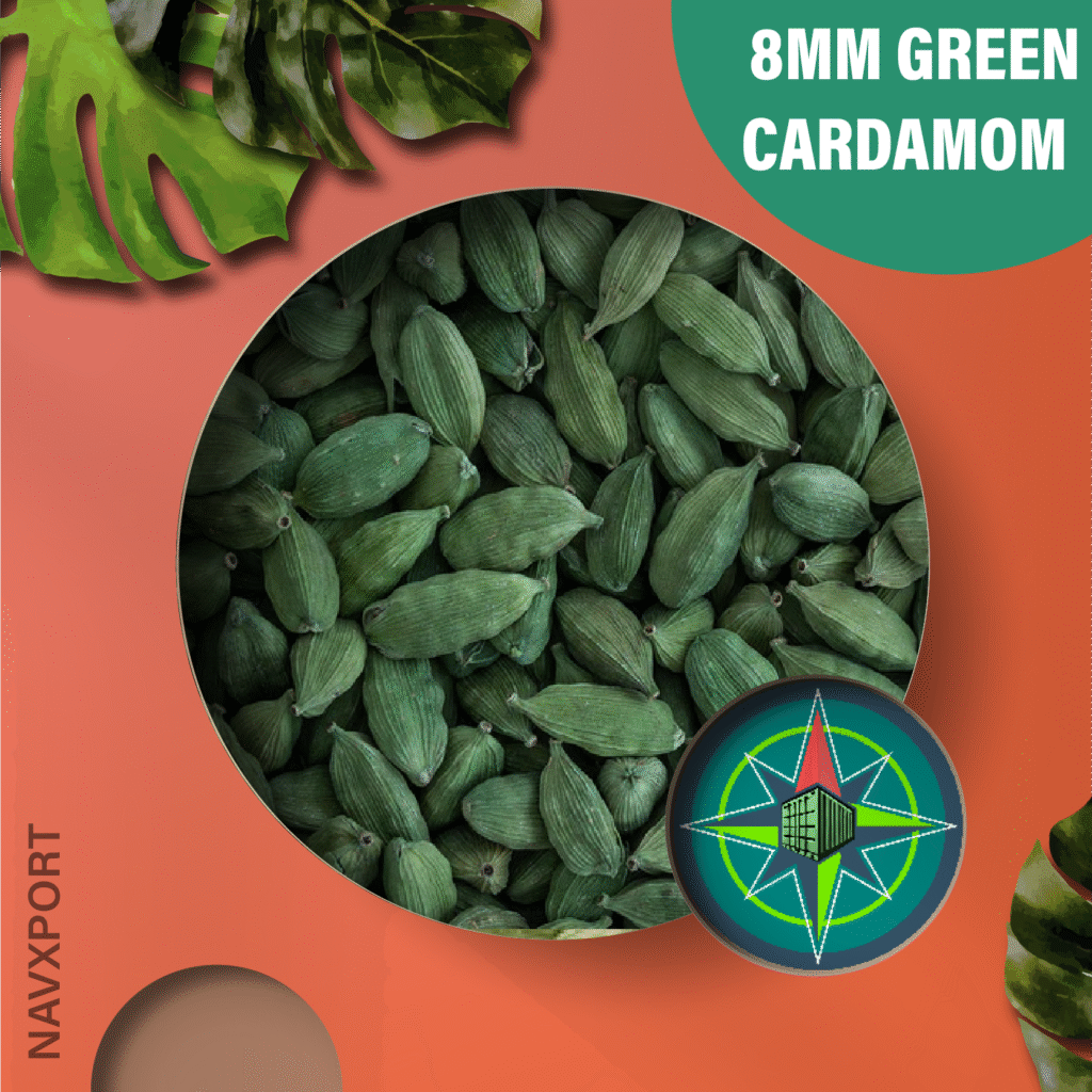 Green Cardamom Top Exporters India - NavXport Worldwide LLP