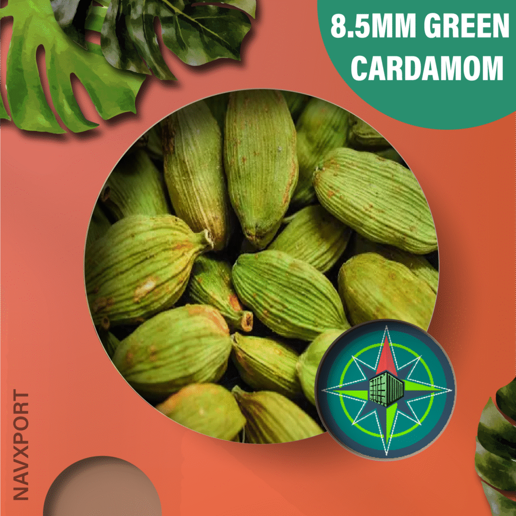8.5MM Green Cardamom – Top Exporter NavXport