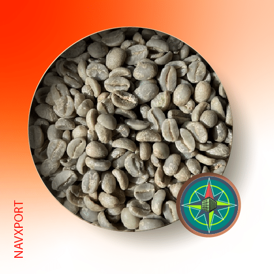 Arabica Plantation B