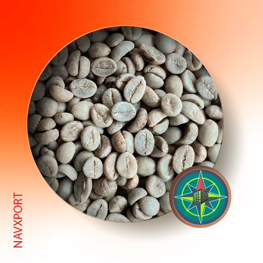 Robusta Parchment A