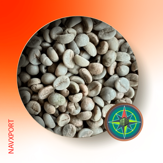 Robusta Parchment AA