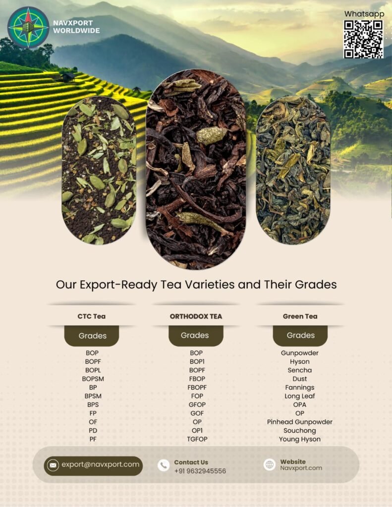 NavXport CTC & Orthodox Tea Exporter India